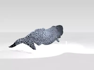 Whale Voronoi 3D model