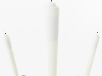 Five Branched Candle Holder 3D model