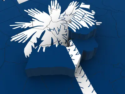 South Carolina Political Map 3D model