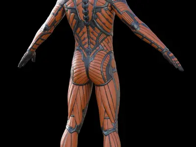 Male Suit Low-poly 3D model