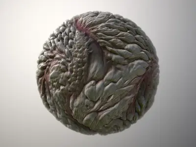 Material Skin Monster 43 Seamless PBR Texture Texture