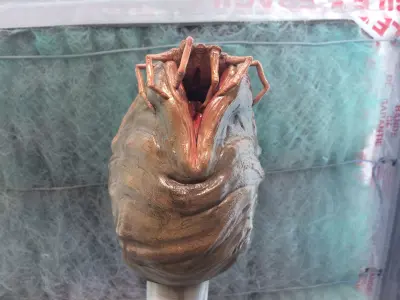 alien facehugger egg - alien-  stl print file 3D print model