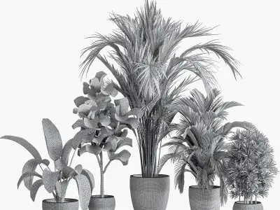 Indoor Plant Set 60 3D model