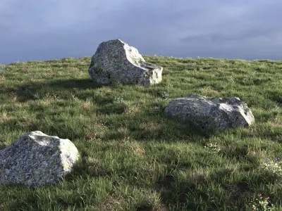 Field herbs 3 grass 3D model