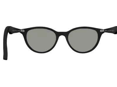 RayBanRB2185 ray ban round sunglasses 3D model