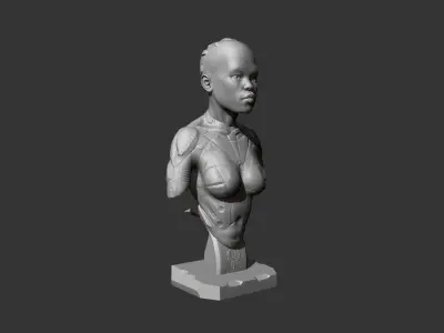 Female bust 3D print model