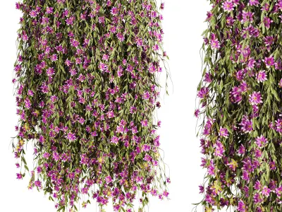 7 Ivy plant 3D models 3D Model Pack