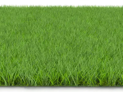 GRASS Low-poly 3D model