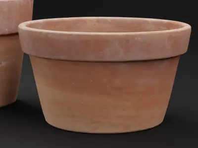 Flower Pot 3D model
