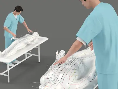  Asian Medic with Acupuncture Mannequin 