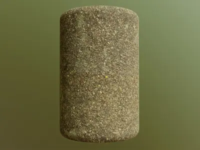 Forest Floor PBR Texture Texture