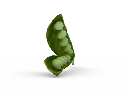 open peapod 3D model