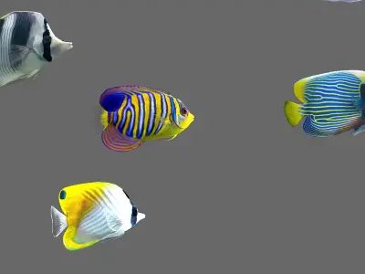  Fish Pack 30 - Animated 