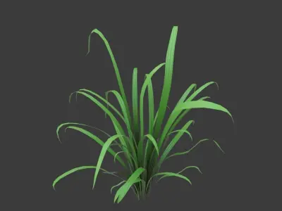 Cartoon grass 3D model