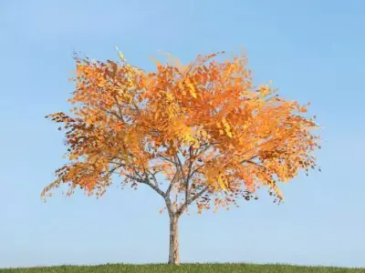 Golden Leaf Tree 3D model