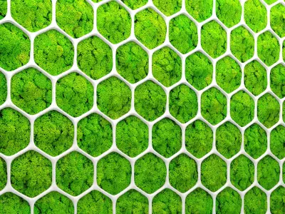 Fytowall moss 3D 2 3D model