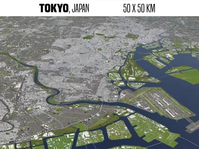 Tokyo Japan 50x50km 3D City Map 3D model