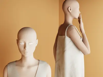 Showcase No 03 3D model