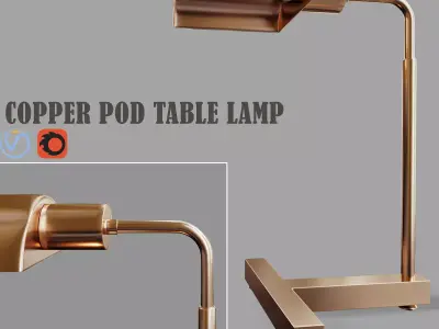 Copper Pod 3D model