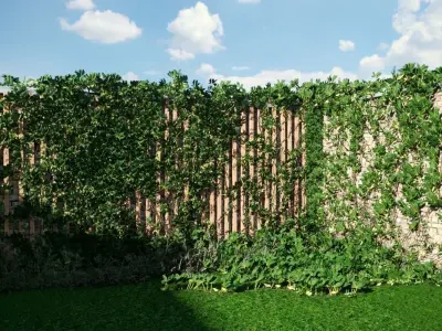 Exterior fencing - VIne - Ivy -brick wall 3D model