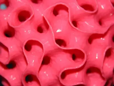 Coral Lamp Free 3D print model