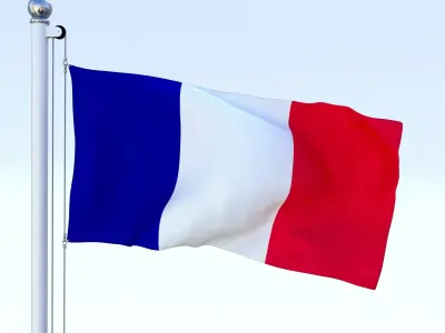 Animated France Flag Low-poly 3D model