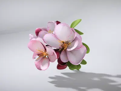Crabapple Flower Cluster Photorealistic Macro Low-poly 3D model