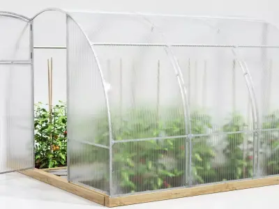 Greenhouse plant hanging 3D model