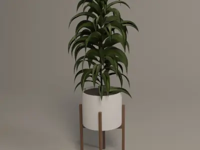 Bath accessories 3D model purchase