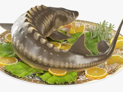  Plated Sturgeon with Herbs and Lemons 