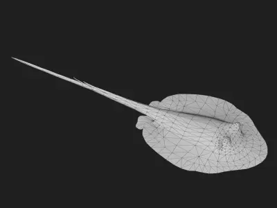 Ray fish Low-poly 3D model