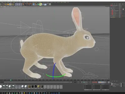 Young Rabbit  with hair 3D model