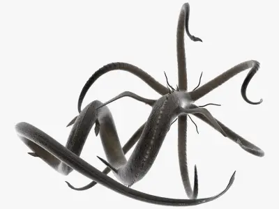  Mythical Sea Leviathan Serpent Form Black Rigged for Cinema 4D 