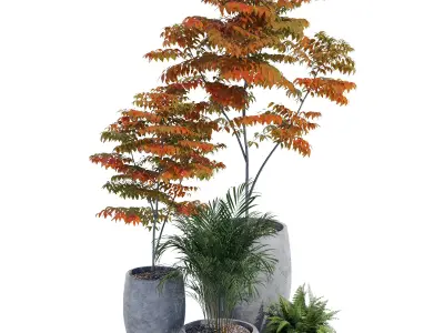 Paolelli one 3D model