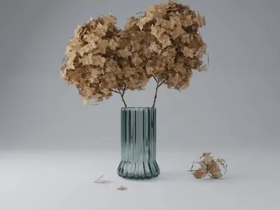 Dry Hydrangea Flowers 3D model Free 3D model