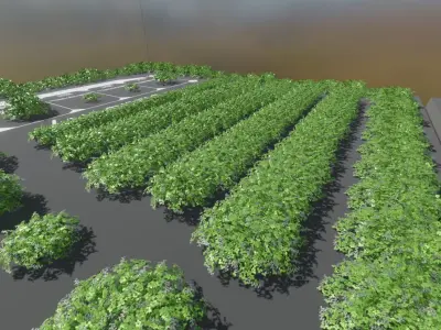 Blackberry Bushes and Hedges with Geometry Nodes Low-poly 3D model