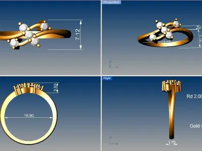 Light weight ring model  3D print model 8