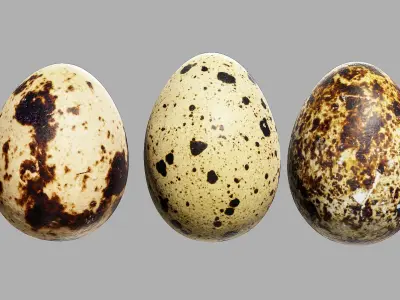 Three Quail Eggs - Photorealistic Scan Low-poly 3D model
