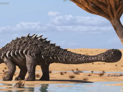  Herbivorous Dinosaurs Collection 2 Rigged for Maya 