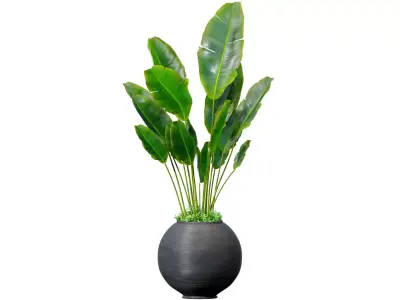 Decorative fern in a modern round vase potted flowerpot Art Deco 3D model