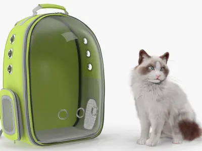  Longhaired Cat in Hard Shell Travel Backpack Fur for Cinema 4D 