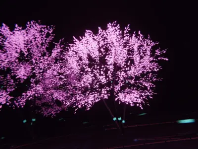 Tree with neon light Free 3D model