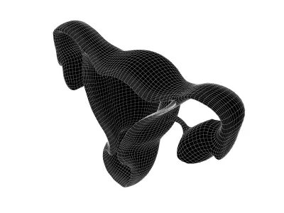 Uterus Icon v1 001 Low-poly 3D model