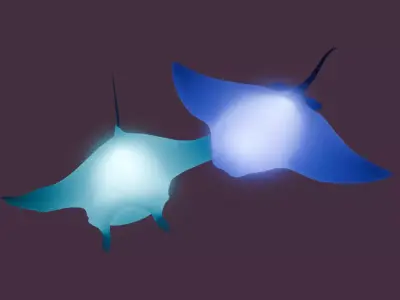 Indirect lighting of stingray and manta ray 3D model