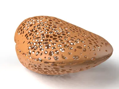 Clam Voronoi Low-poly 3D model