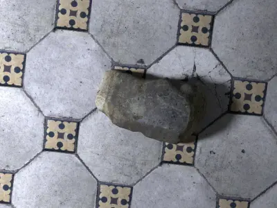 Low poly rock trilobite from neoproterozoic of california Free low-poly 3D model