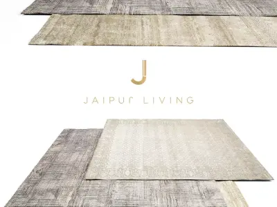 Jaipur Living Rug Set 2 3D model