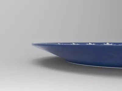 Tern Plate Low-poly 3D model