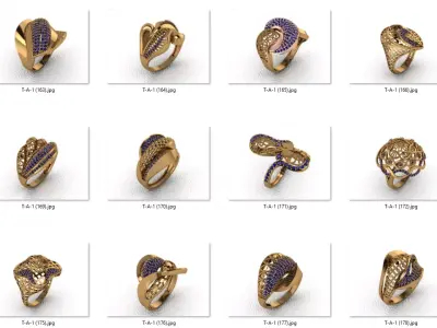 ring 25 pieces drawing 3d rihone drawing ring rings ring models  3D print model