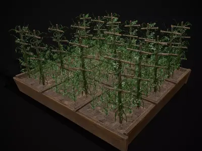 Square Planting Plot with Peas Low-poly 3D model